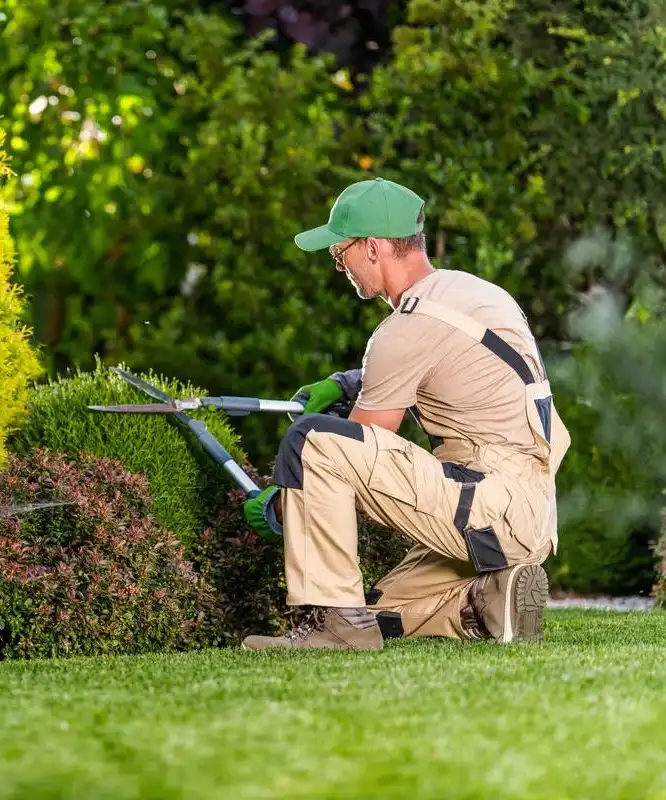 Green Landscaping